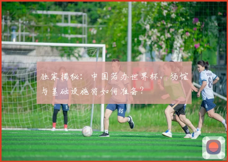 独家揭秘:中国若办世界杯,场馆与基础设施将如何准备?