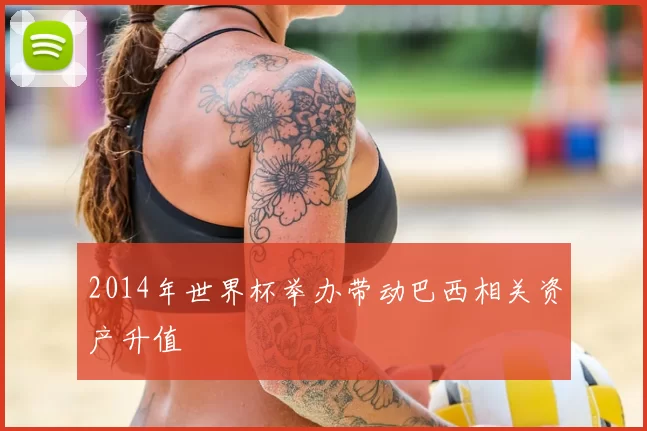 2014年世界杯举办带动巴西相关资产升值