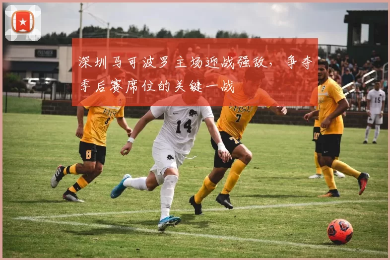 深圳马可波罗主场迎战强敌，争夺季后赛席位的关键一战