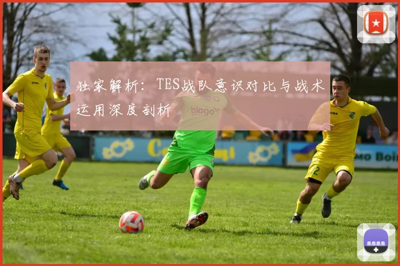 独家解析：TES战队意识对比与战术运用深度剖析