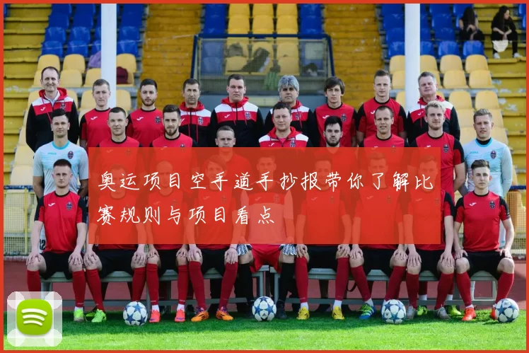 奥运项目空手道手抄报带你了解比赛规则与项目看点