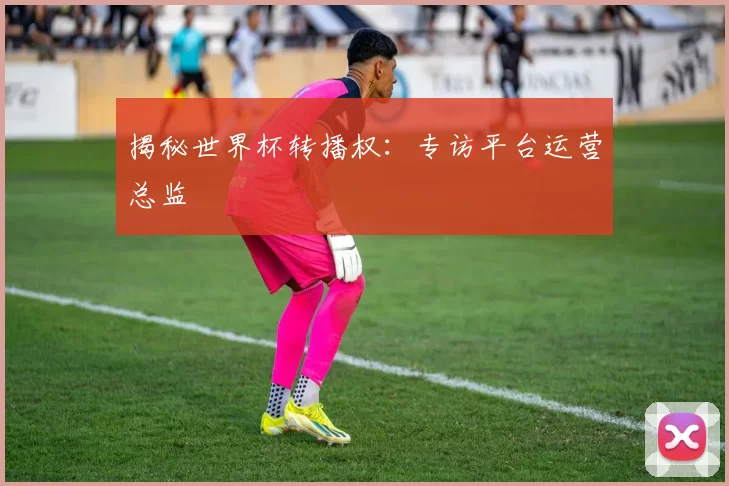 揭秘世界杯转播权:专访平台运营总监