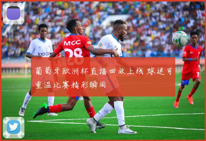 葡萄牙欧洲杯直播回放上线 球迷可重温比赛精彩瞬间