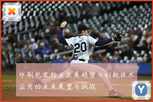 印刷包装行业发展趋势与创新技术应用的未来展望与挑战