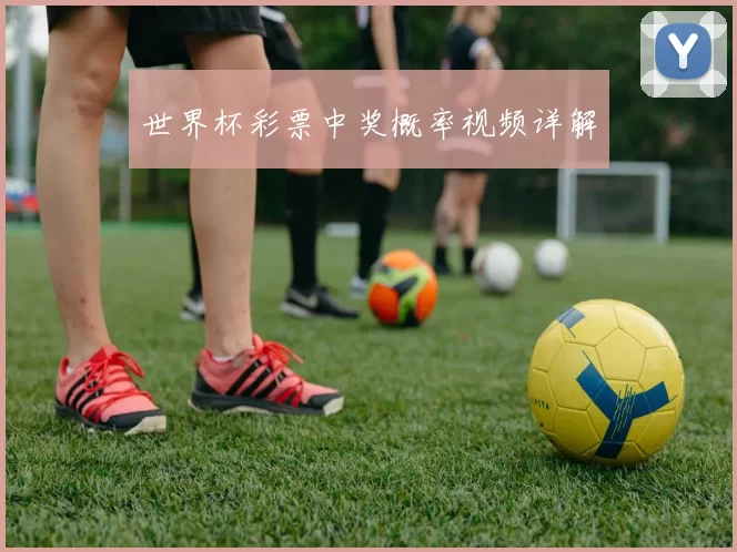 世界杯彩票中奖概率视频详解