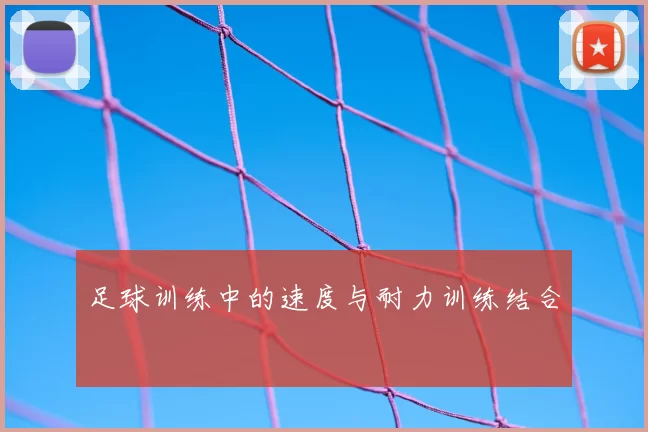 足球训练中的速度与耐力训练结合
