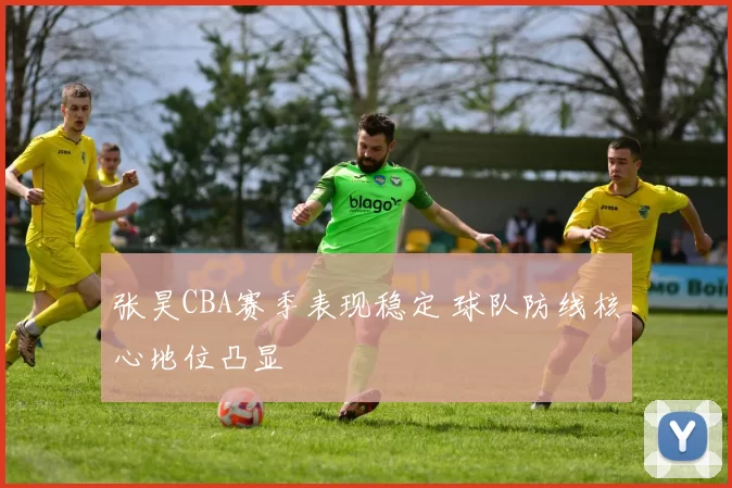 张昊CBA赛季表现稳定 球队防线核心地位凸显