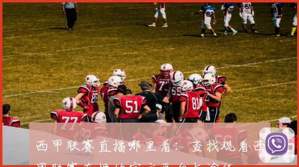 西甲联赛直播哪里看：查找观看西甲联赛直播的官方平台与途径