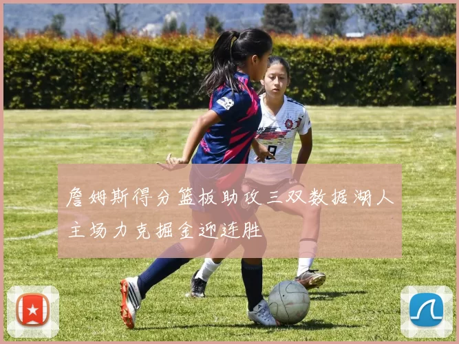 詹姆斯得分篮板助攻三双数据湖人主场力克掘金迎连胜