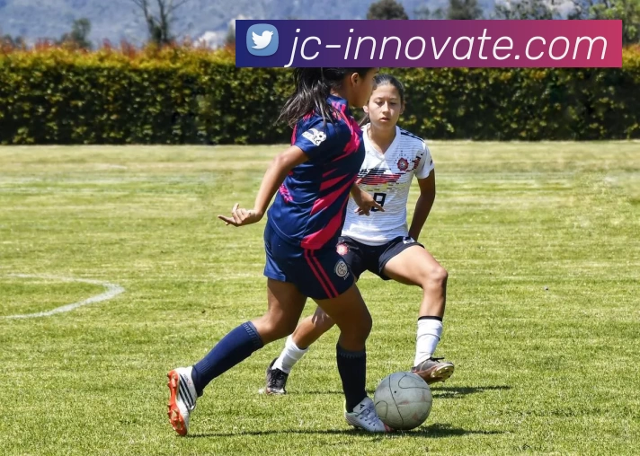 爱游戏体育APP 封面图